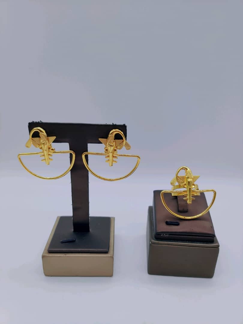 ✨ Ensemble Bijoux Fashion – Boucles d’Oreilles & Bague Assortie