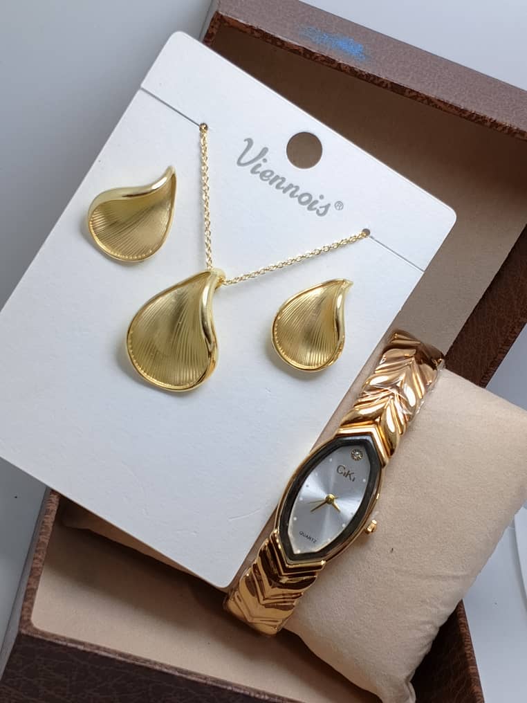 ⭐ Ensemble VIENOIS – Collier, Boucles d’Oreilles & Montre en Acier Inoxydable