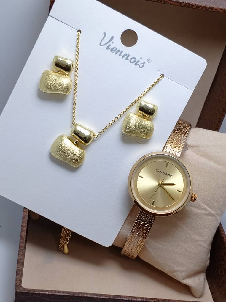 ⭐ Ensemble VIENOIS – Collier, Boucles d’Oreilles & Montre en Acier Inoxydable
