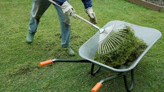 🌳 Service d’Entretien et de Nettoyage d’Espaces Verts 