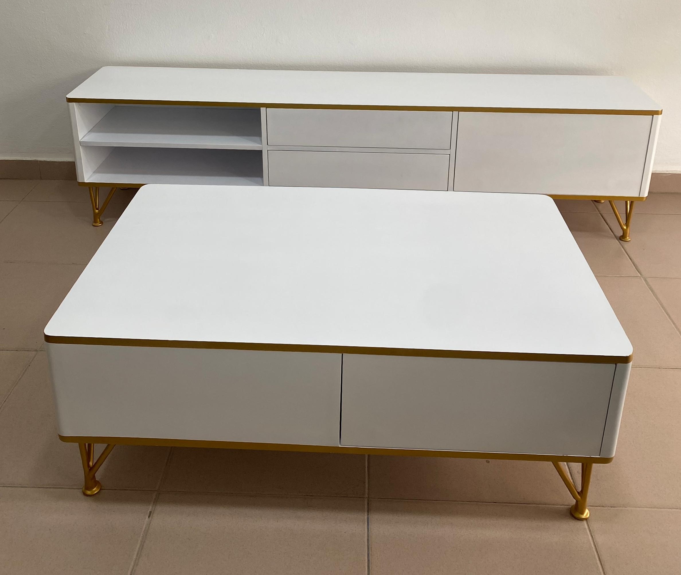 Ensemble Meuble TV + Table Basse Assortie
