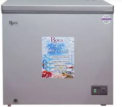 Congélateur ROCH 200 Litres 230 V